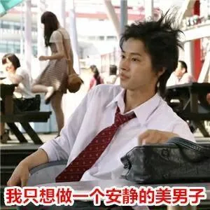 我只想做一个安静的美男子