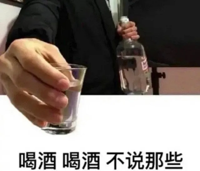 喝酒喝酒不说那些（喝酒喝酒不说那些）