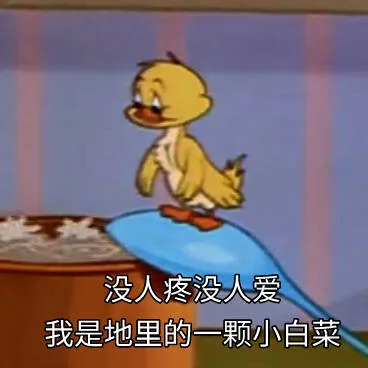 没人疼没人爱我是地里的一颗小白菜（没人疼没人爱我是地里的一颗小白菜）