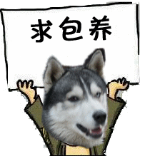 求包养