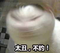 太丑，不约！（太丑，不约！）