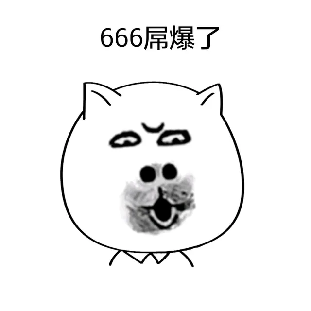 白色猫脸_猫脸_白色表情包