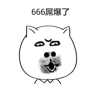白色猫脸_猫脸_白色表情包