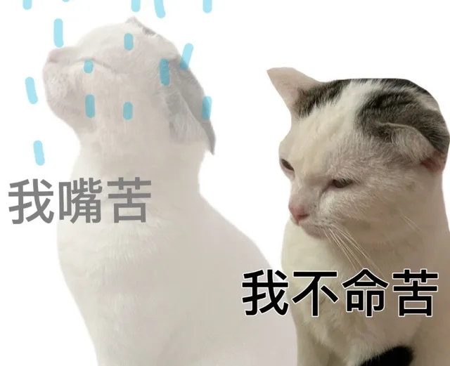 我嘴苦我不命苦