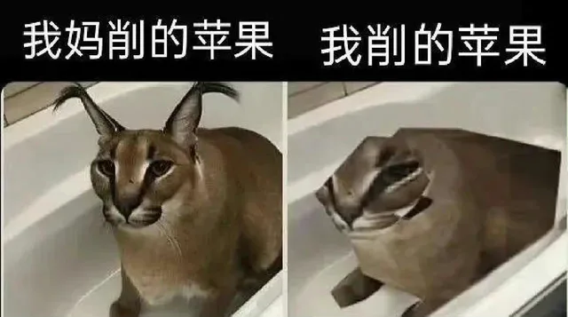 我妈削的苹果我削的苹果