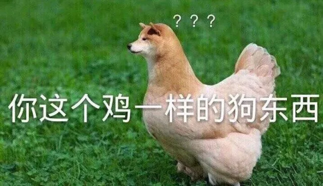 你这个鸡一样的狗东西？