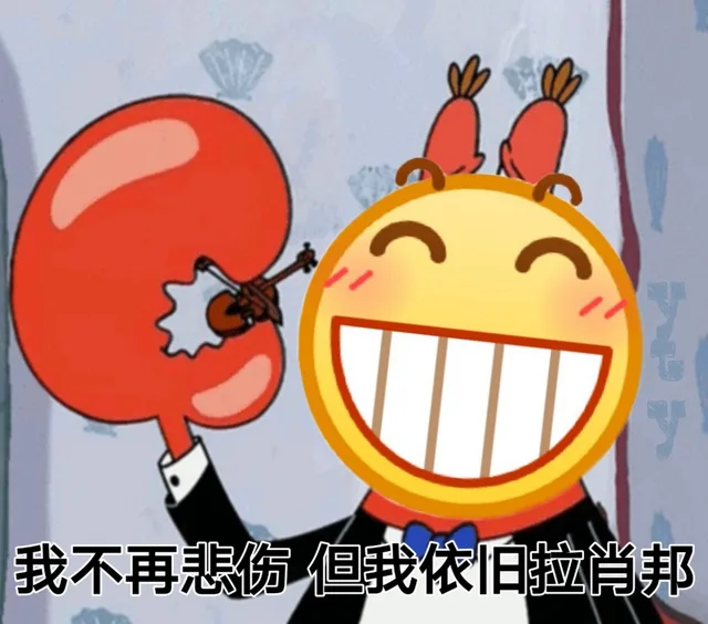 我不再悲伤 但我依旧拉肖邦