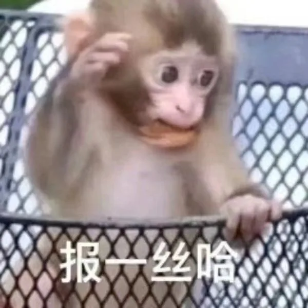 报丝哈(吗喽表情包)（报丝哈(吗喽表情包)）