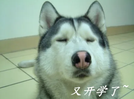 又开学了！