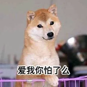 爱我你怕了么（爱我你怕了么）