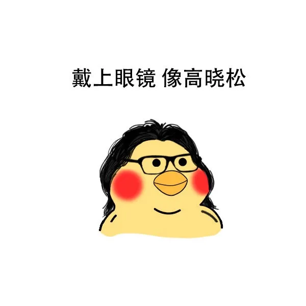 戴上眼镜像高晓松
