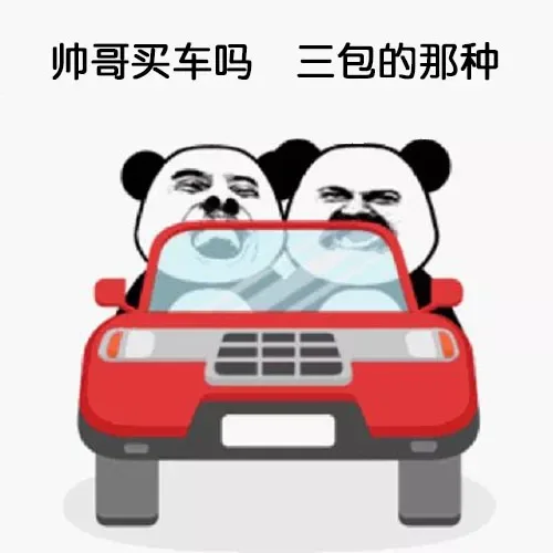 帅哥买车吗三包的那种