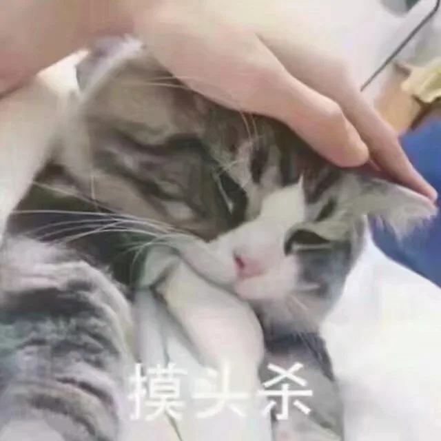 摸头杀（摸头杀）