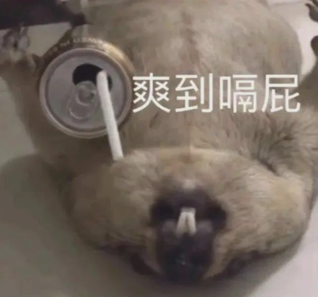 爽到隔屁（爽到隔屁）
