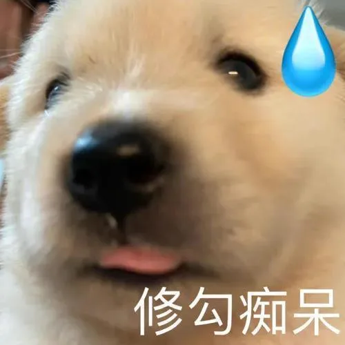 修勾痴呆（修勾痴呆）