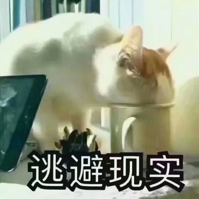 逃避现实（逃避现实）