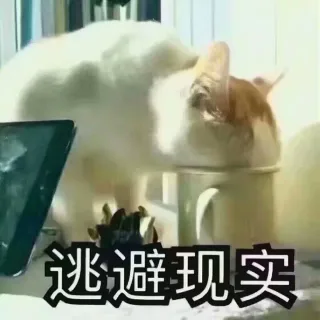 逃避现实