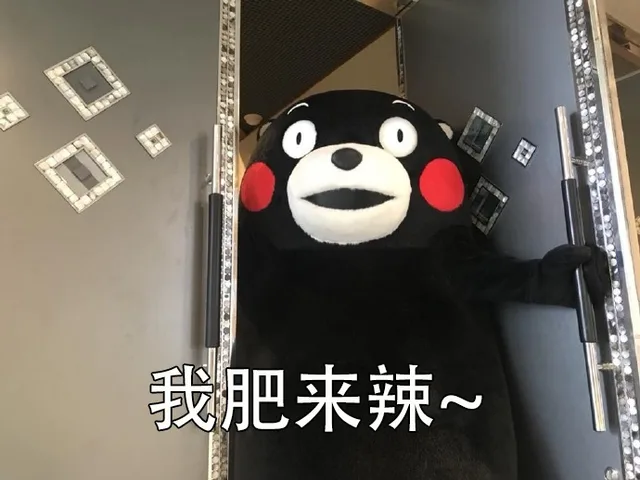 当然选择原谅了！ _熊本熊_绿帽子_做头发
