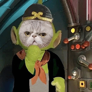 猫猫头像 天线宝宝西游记表情包（猫猫头像 天线宝宝西游记表情包）