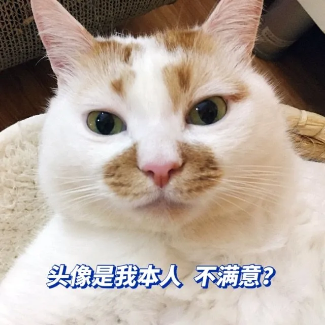 头像是我本人不满意？（头像是我本人不满意？）