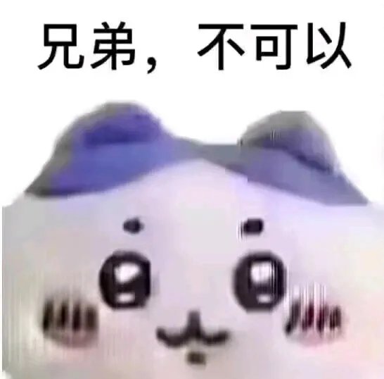 兄弟，不可以（兄弟，不可以）