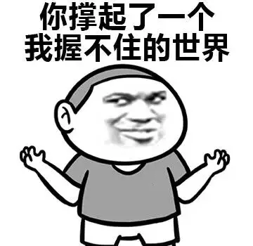 你撑起了一个我握不住的世界（你撑起了一个我握不住的世界）