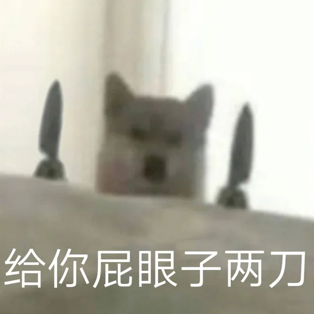 给你屁眼子两刀（给你屁眼子两刀）