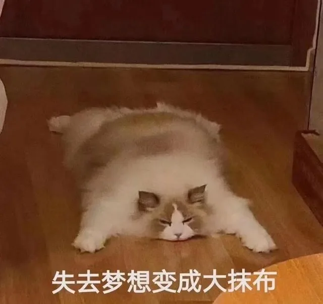 失去梦想变成大抹布（失去梦想变成大抹布）