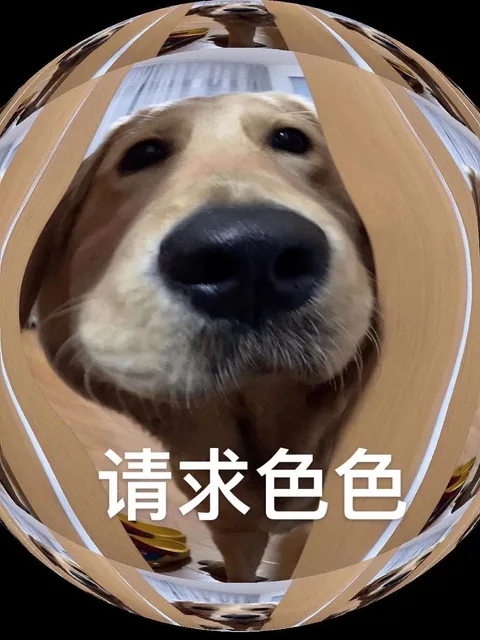 请求色色