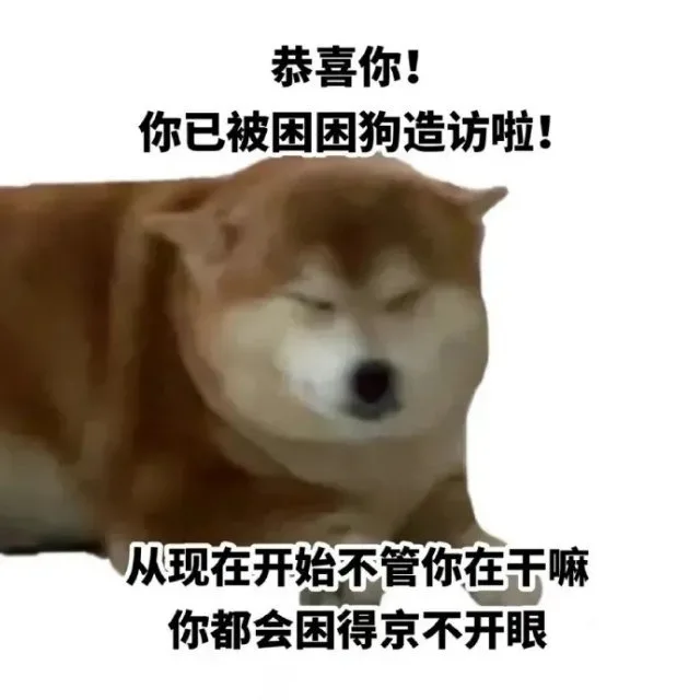 恭喜你!你已被困困狗造访啦!从现在开始不管你在干嘛你都会困得京不开眼（恭喜你!你已被困困狗造访啦!从现在开始不管你在干嘛你都会困得京不开眼）