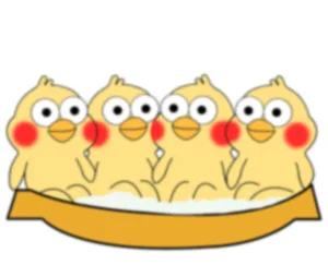 （鹦鹉兄弟版泡脚）