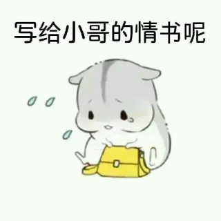 写给小哥的情书呢
