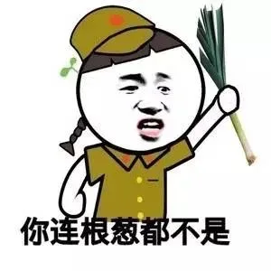 你连根葱都不是