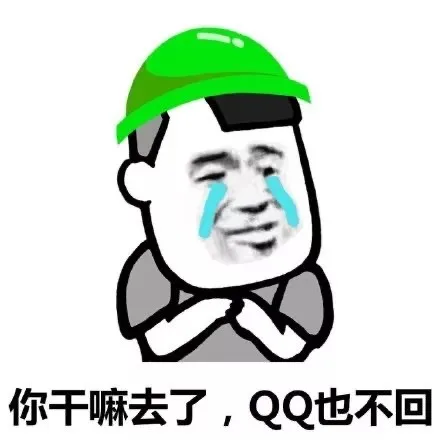 绿帽子表情包：你干嘛去了鸭
