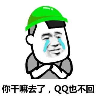 绿帽子表情包：你干嘛去了鸭表情包
