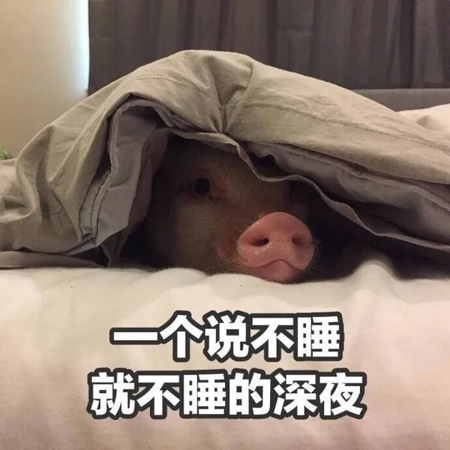 一个说不睡就不睡的深夜