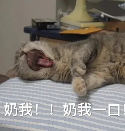奶我！！奶我一口!