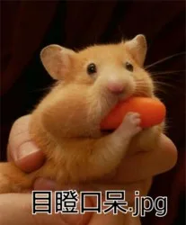 目瞪口呆.jpg