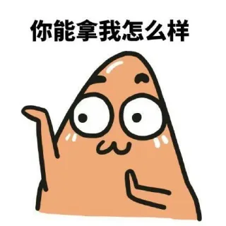 你能拿我怎么样