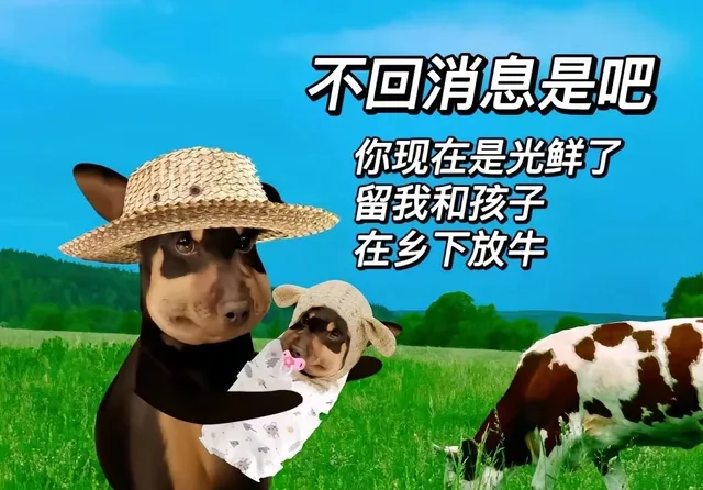 不回消息是吧你现在是光鲜了留我和孩子在乡下放牛（不回消息是吧你现在是光鲜了留我和孩子在乡下放牛）