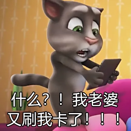 什么?!我老婆又刷我卡了!!!（什么?!我老婆又刷我卡了!!!）