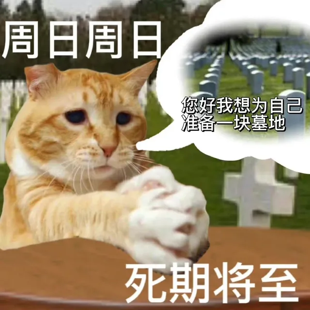 周日周日您好我想为自己准备一块墓地死期将至（周日周日您好我想为自己准备一块墓地死期将至）