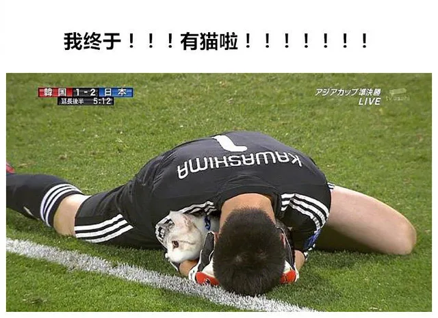 我终于!!!有猫啦!!!!!!!EP尸力少決LIVEyUiHsBmex（我终于!!!有猫啦!!!!!!!EP尸力少決LIVEyUiHsBmex）