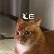 尬住（尬住）