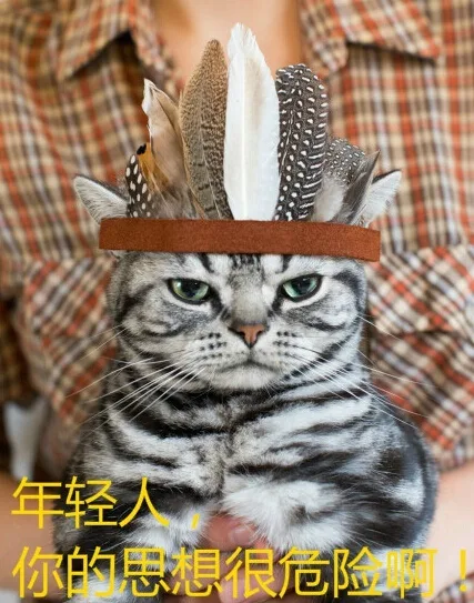 年轻人，你的思想很危险啊！