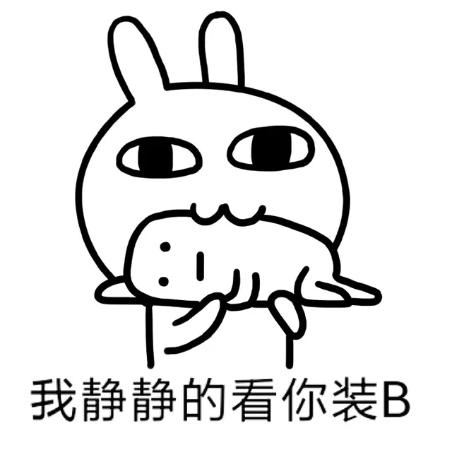 我静静的看着你装B