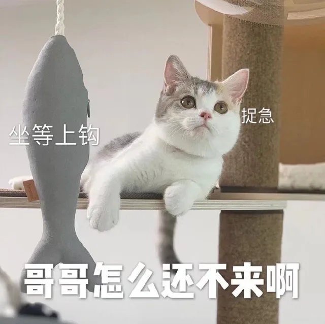 捉急坐等上钩哥哥怎么还不来啊（捉急坐等上钩哥哥怎么还不来啊）