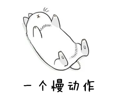 一个慢动作