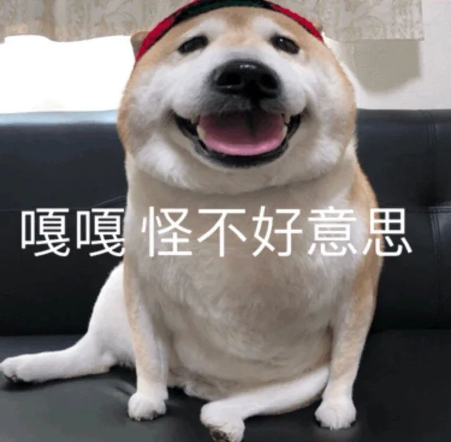 嘎嘎 怪不好意思的（大嘴狗表情包）（嘎嘎 怪不好意思的（大嘴狗表情包））