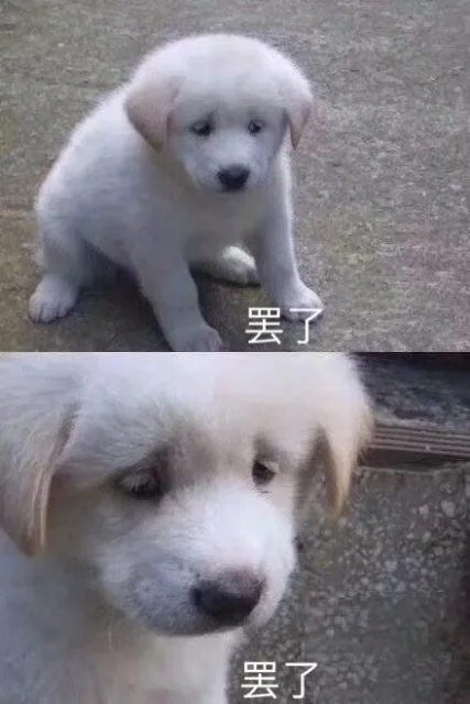 罢了罢了（罢了罢了）